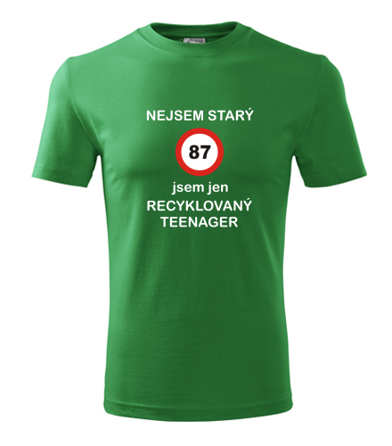 Zelené tričko jsem recyklovaný teenager 87